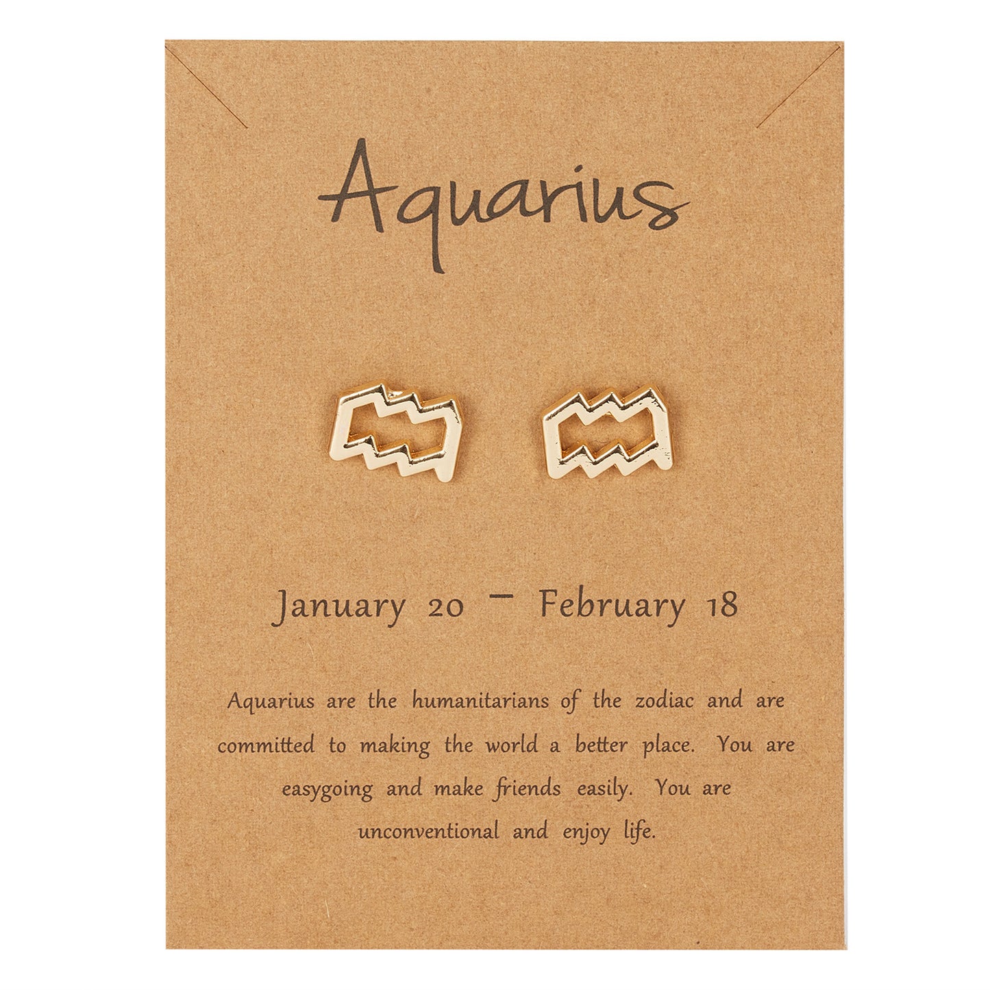 Aquarius Zodiac Earrings