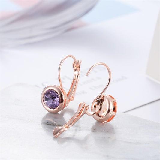 Elegant Amethyst Earrings